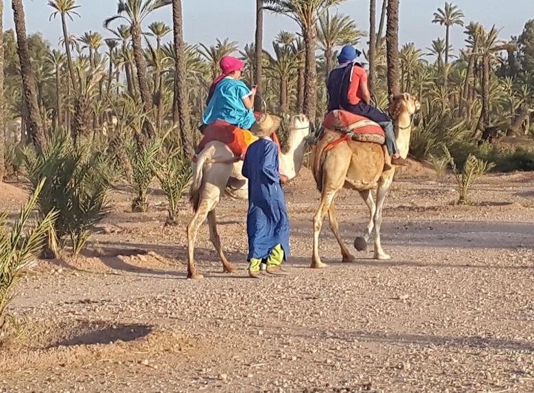 actividad paseo de dromidario y quad en el palmerale de marrakech 176